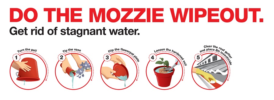 5-step mozzie wipeout. Credit: NEA